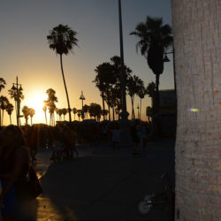 Sunset at Venice Beach